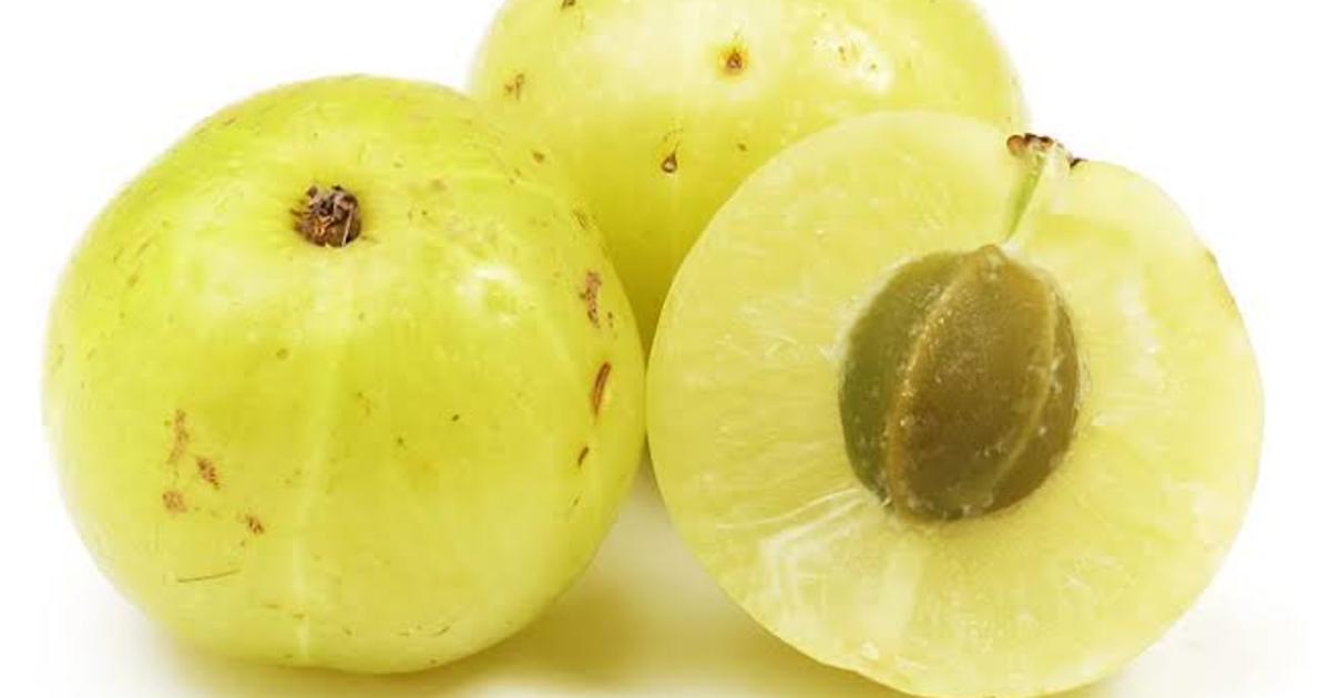 完全オーガニックシャンプーのアムラシャンプー アムラって何 五反田で評判な美容院acmila アシミラ の人気ブログ